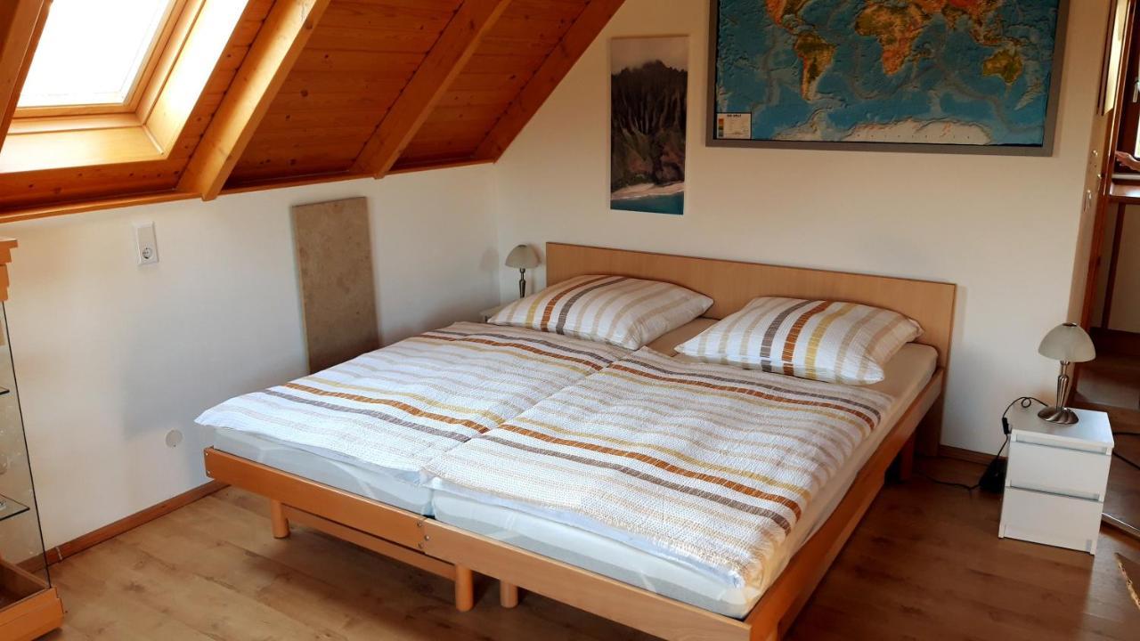 Ferienwohnung Zur Saaleaue Wettin Экстерьер фото